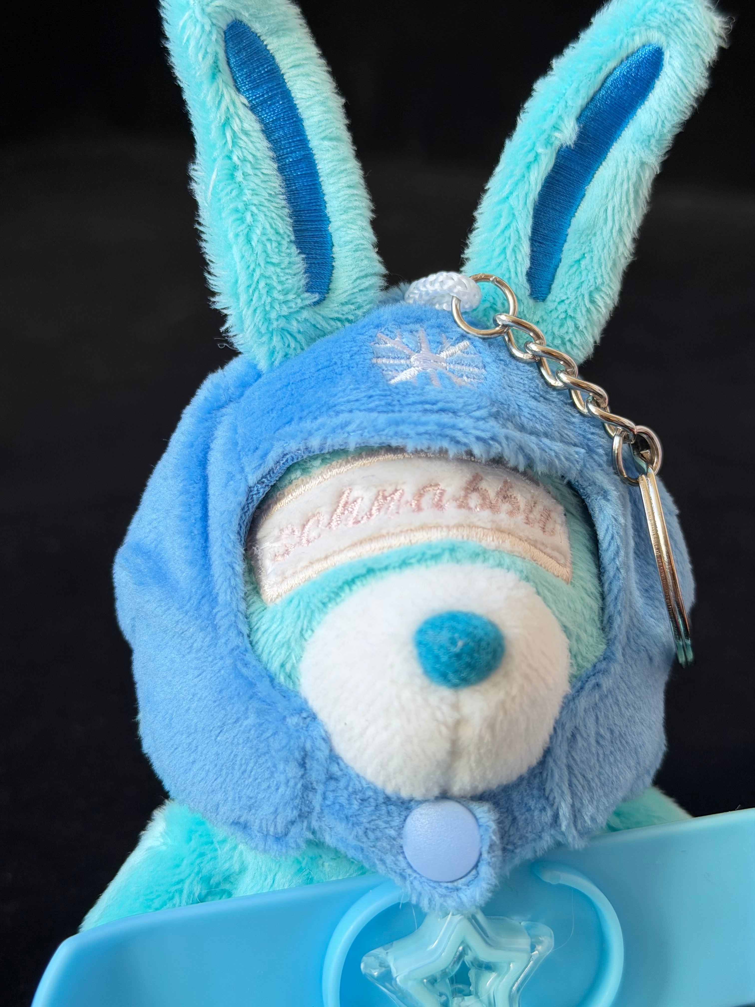 Ski Plush Key Charm